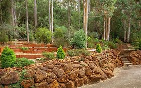 Oceanview Luxury Retreat Amongst The Trees